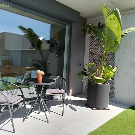 Casa Das Falcoeiras - Estudio Com Terraco Privado Aveiro Eksteriør billede